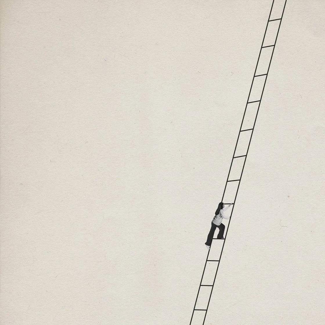 Illustration : un homme gravit une échelle vers le sommet, symbolisant la progression SEO sur WordPress